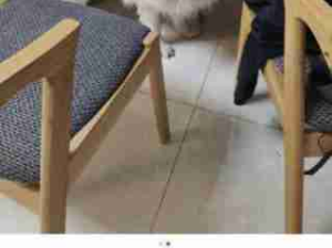 主人做饭有多难吃，哈哈哈哈看狗狗表情就知道了