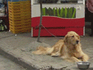 平白无故挨了一个嘴巴子