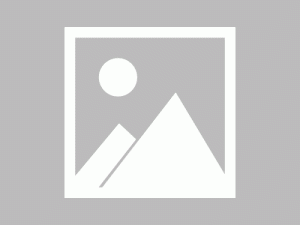 这比赛就很适合我