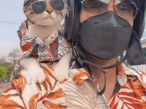 泼水节就是狗去了都得挨两盆啊